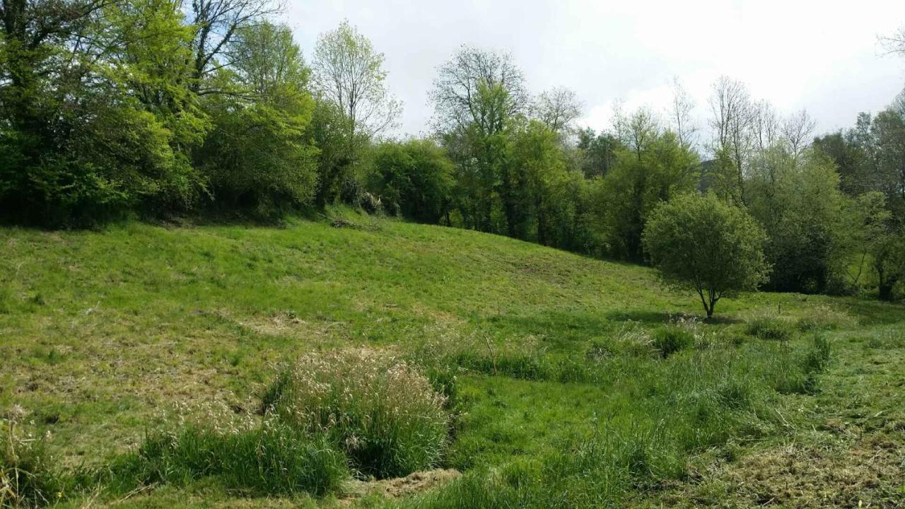 Gites Nature & Espace - Le Puits Des Souhaits Villedieu-les-Poëles Buitenkant foto